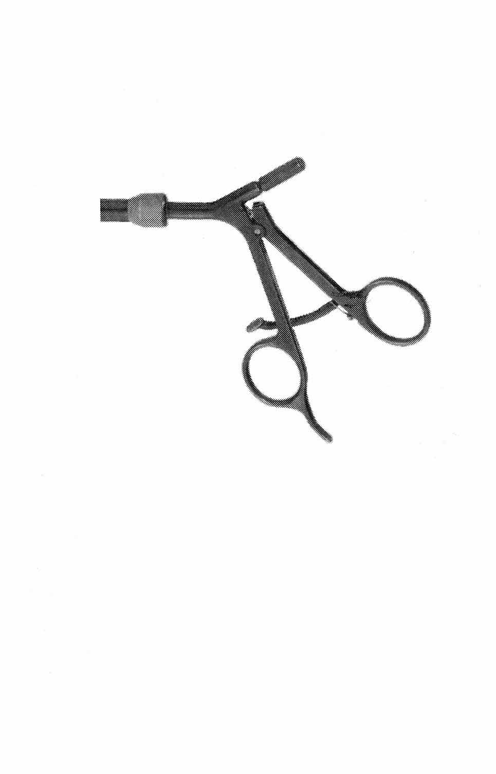 BERCI PANSUMAN FORSEPS ÇAP  5 MM